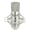 מיקרופון קונדנסר אולפני Alctron MC001W6