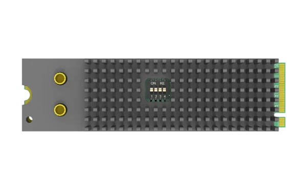 ⁦כרטיס לכידת וידאו Magewell Eco Capture Dual SDI M.2⁩ – תמונה ⁦2⁩